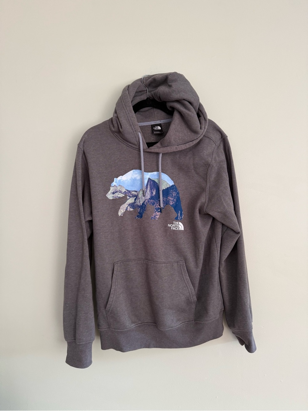 The North Face Men's Charcoal Bear Graphic Hoodie